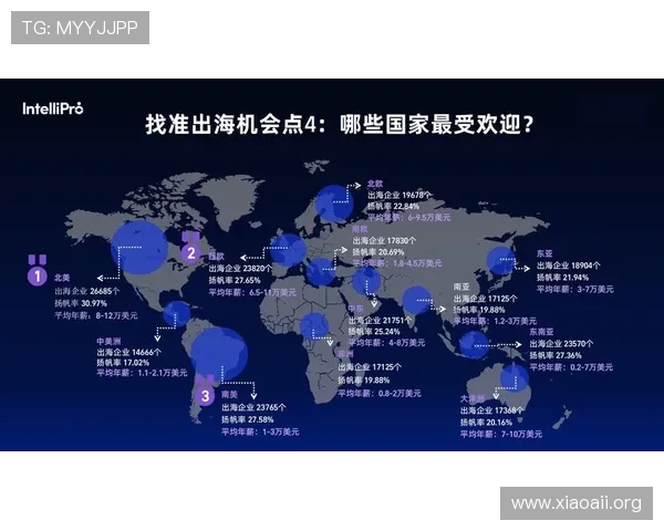全面解析环球国际人力资源的全球化发展战略与未来趋势